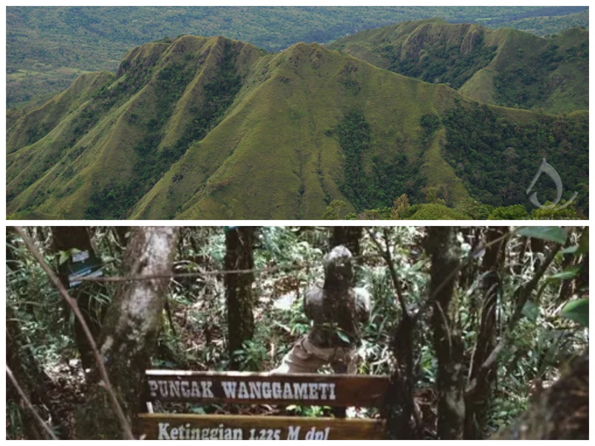 Gunung Wanggameti